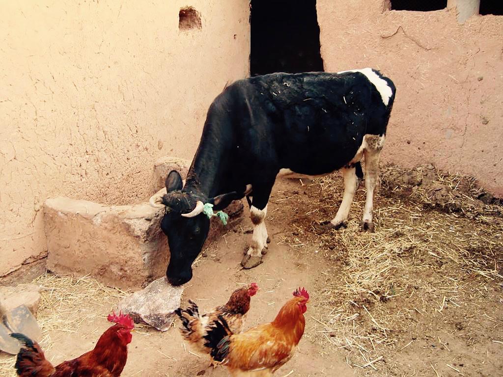 Dar Mouna La Source Ait Benhaddou Exterior foto